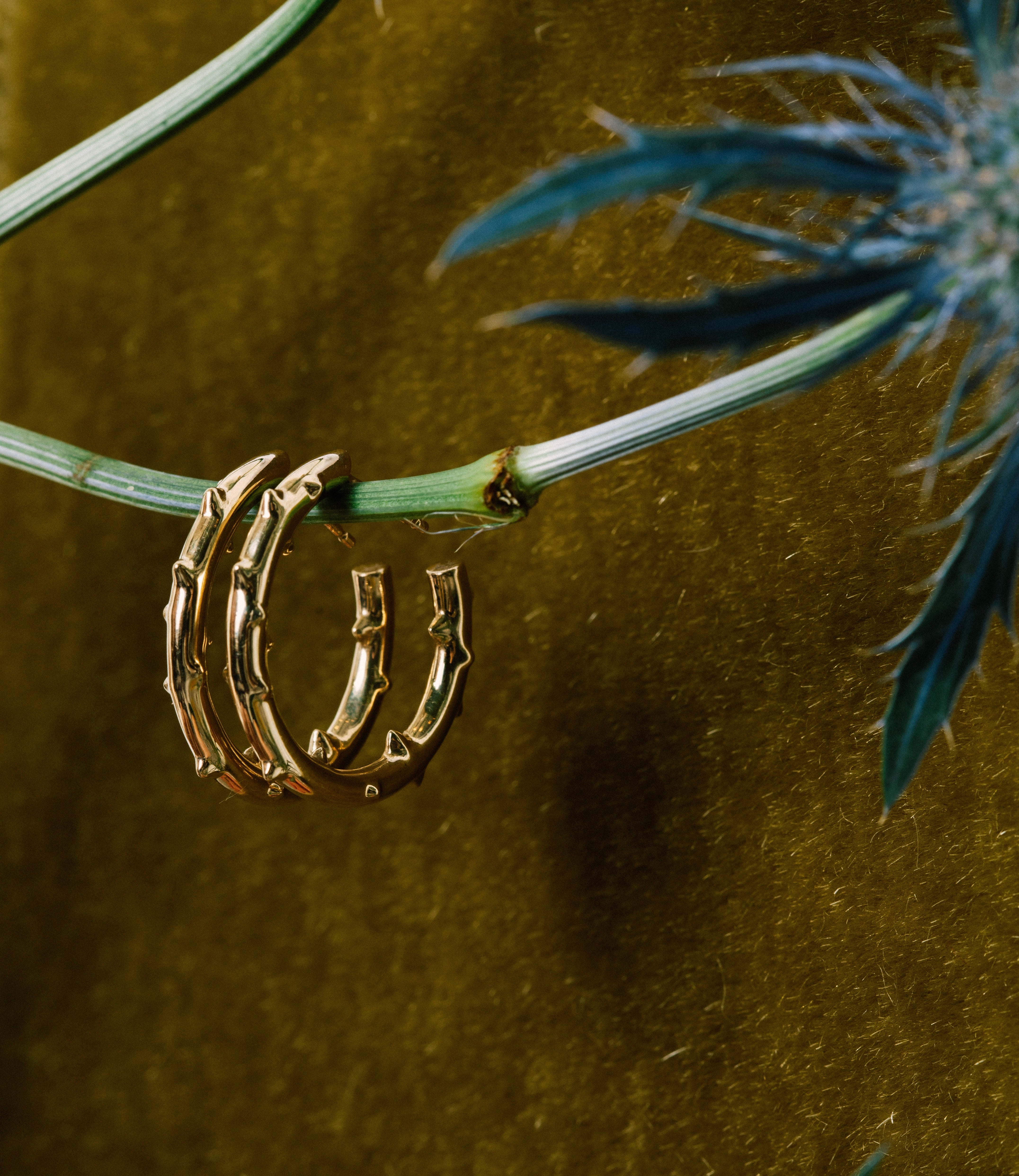 The Thorn Hoops