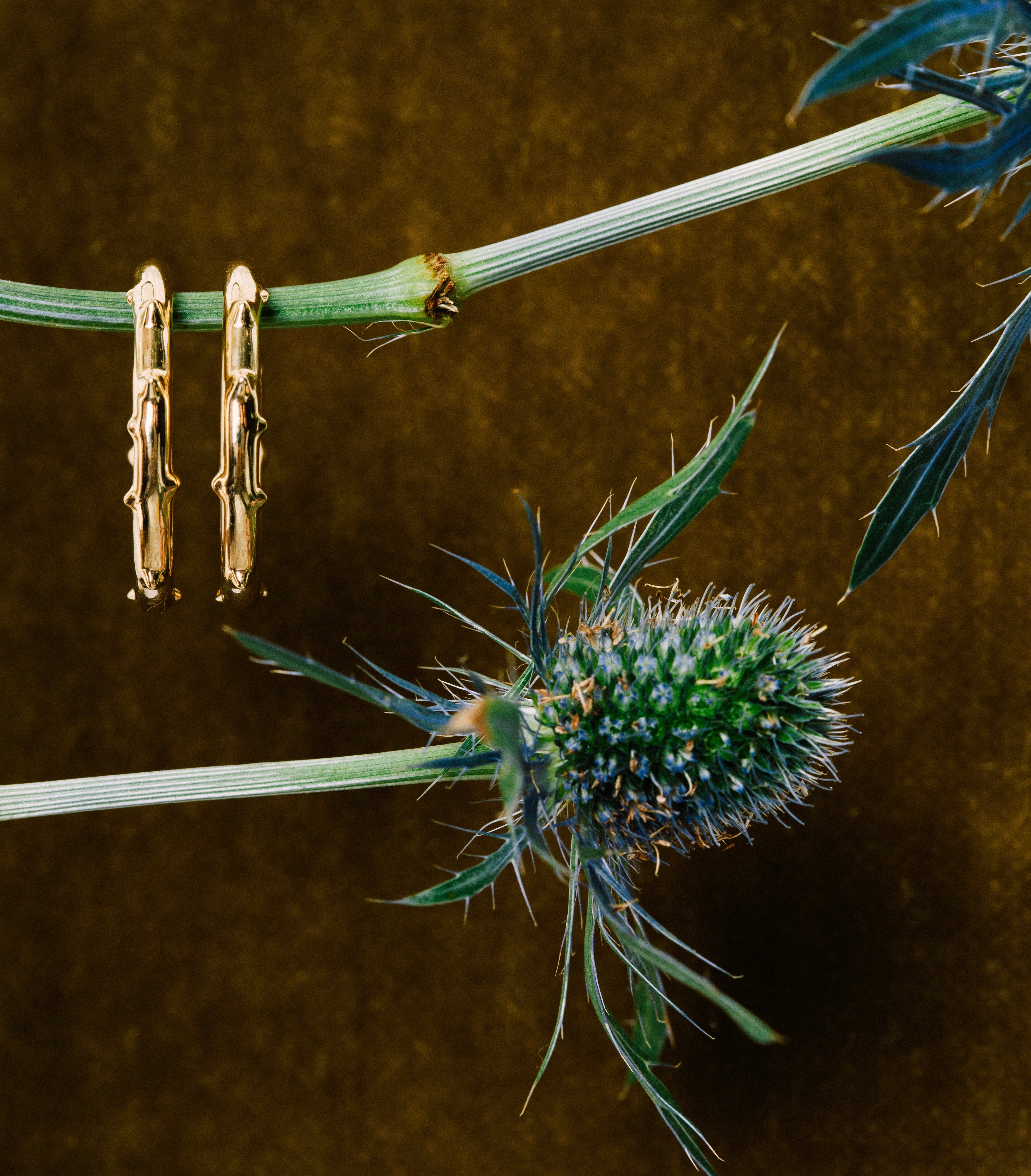 The Thorn Hoops